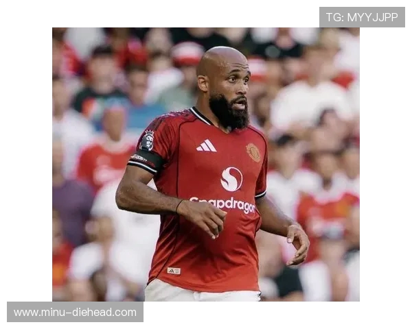 英超球队的外号及其球迷文化的象征意义