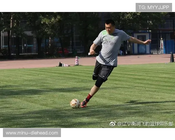 青训秘笈与转会博弈 CBA与足球江湖中的生存法则与竞争策略